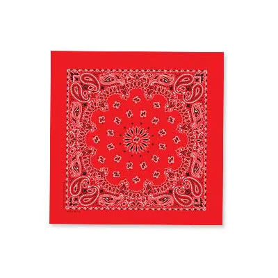 Carolina Paisley Bandanna