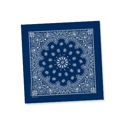 Carolina Paisley Bandanna