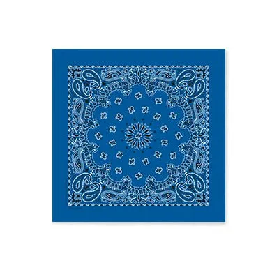 Carolina Paisley Bandanna