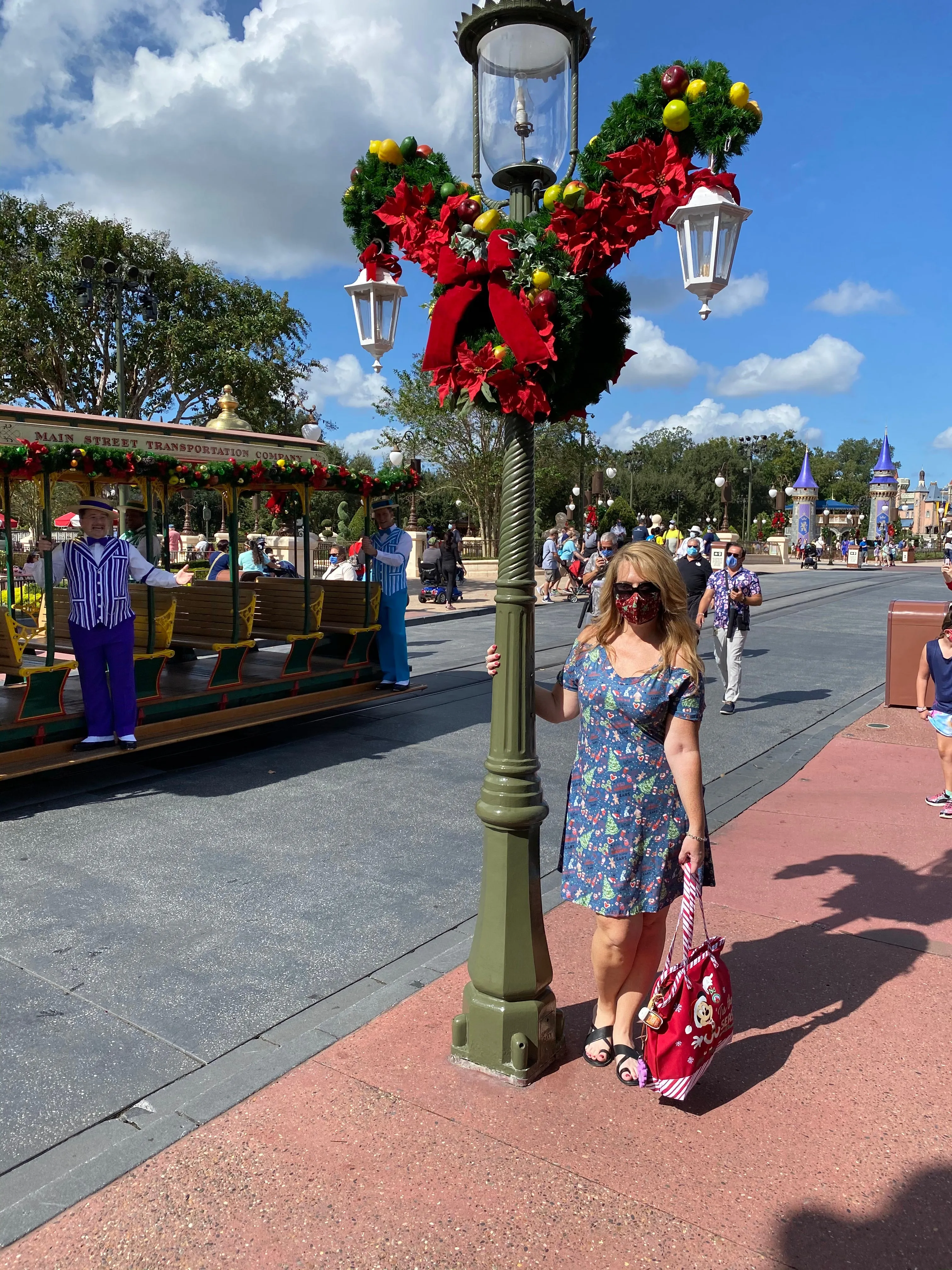 Magical Holiday Gray Gracie Dress