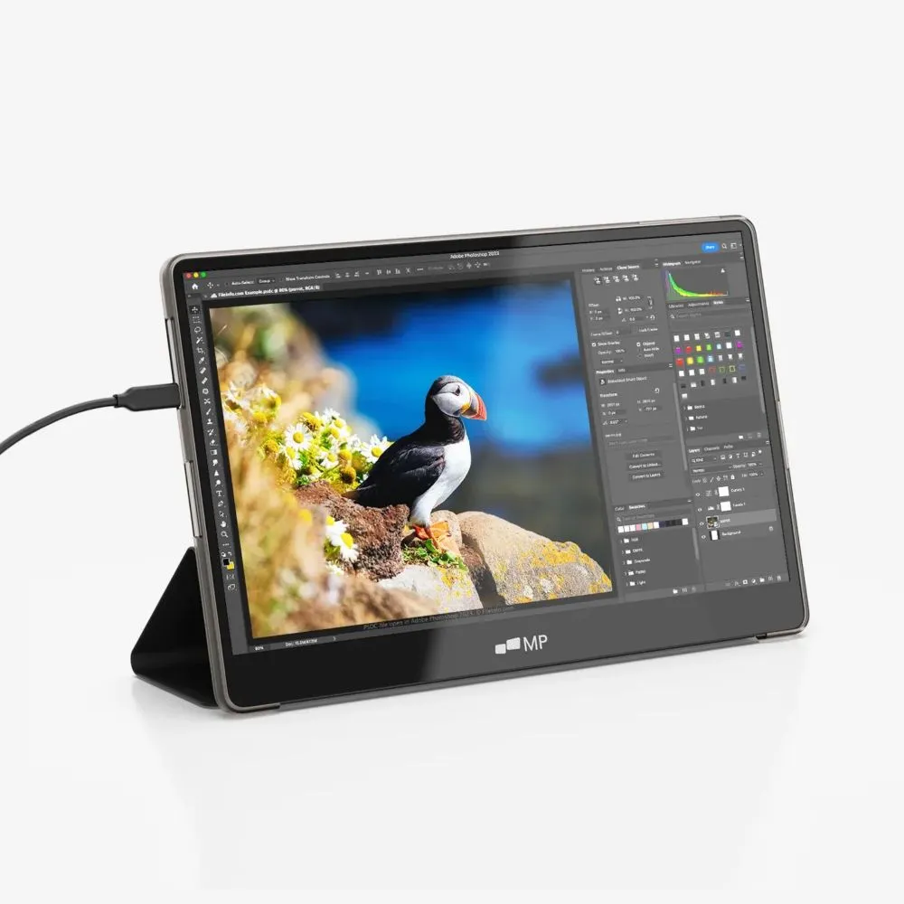 Mobile Pixels Glance Plus Portable OLED Full HD Laptop Monitor 15.6