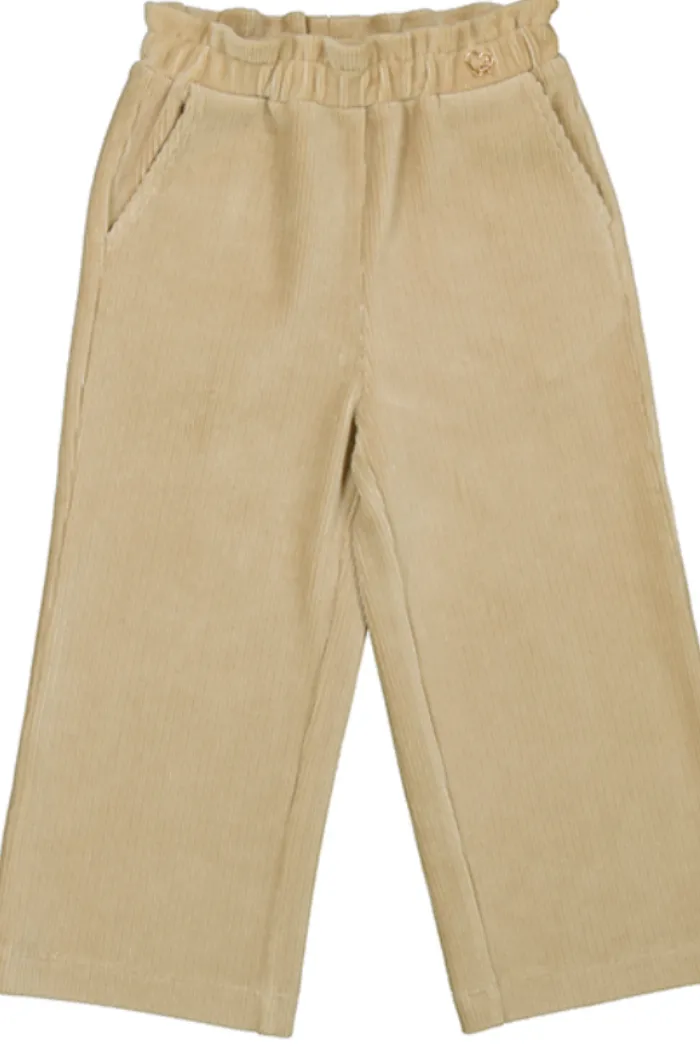 Sepia Corduroy Pants