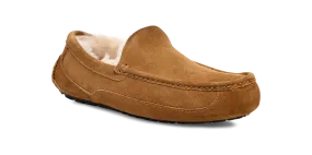 UGG Ascot Slipper Men's