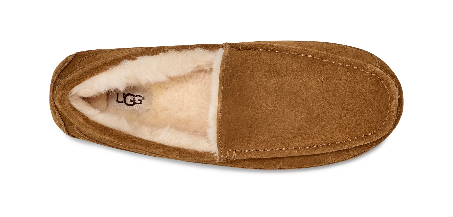 UGG Ascot Slipper Men's