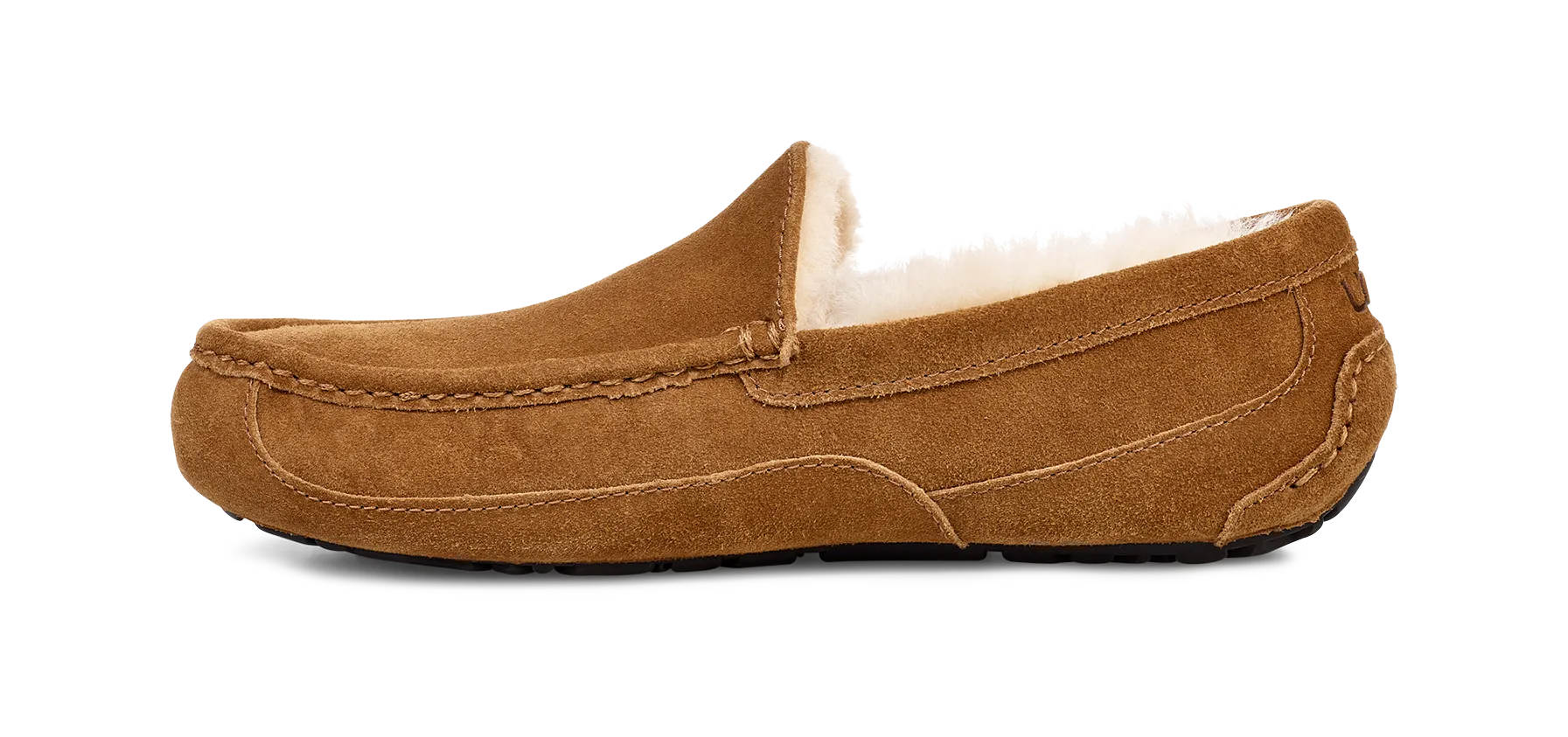 UGG Ascot Slipper Men's