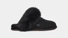 UGG Women's Scuff Sis