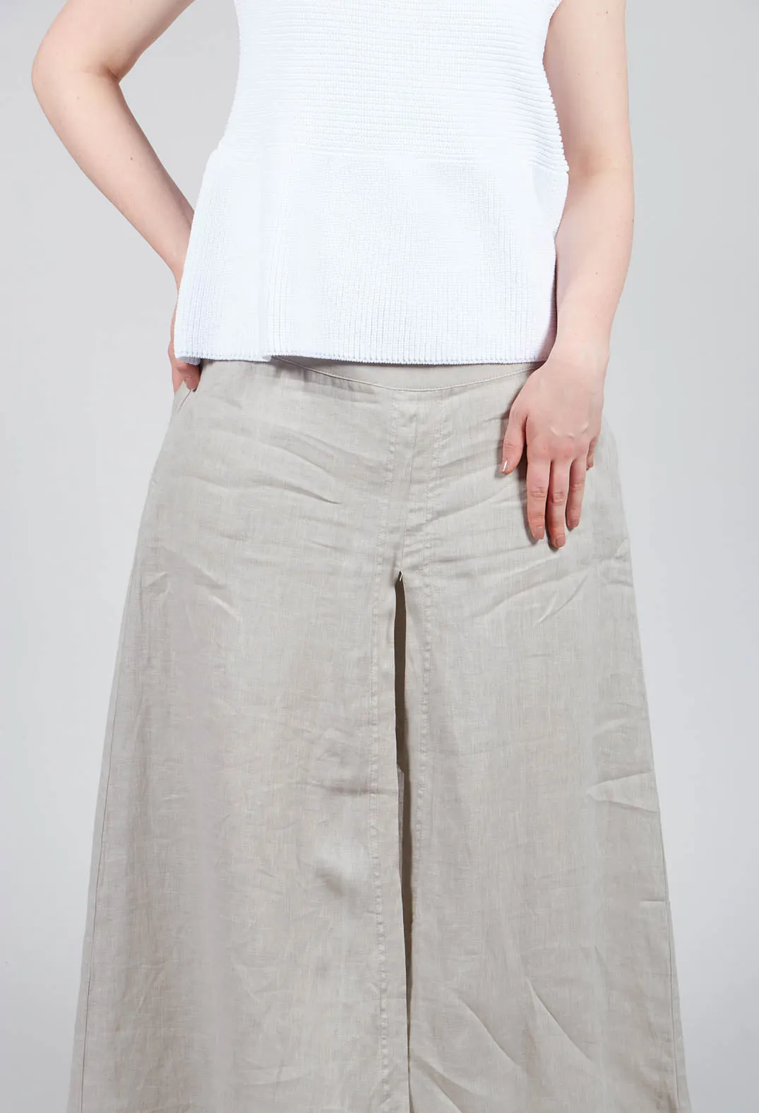 Wide Leg Trousers in Beige